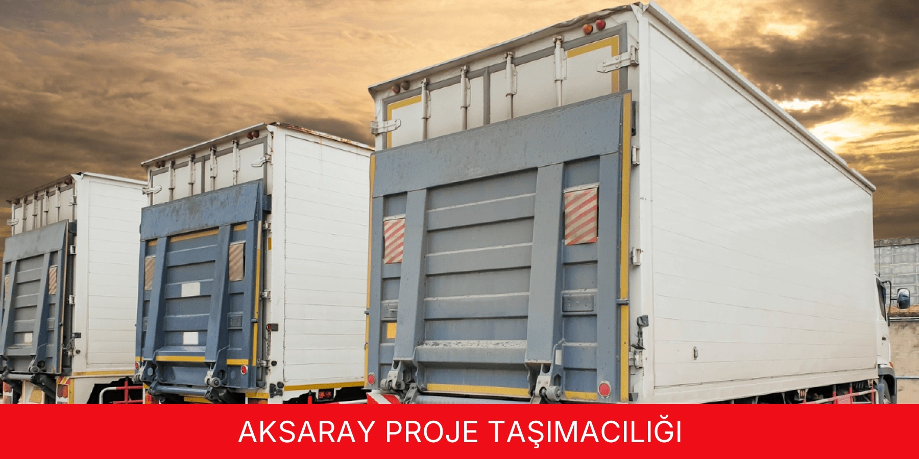 Proje Taşımacılığı