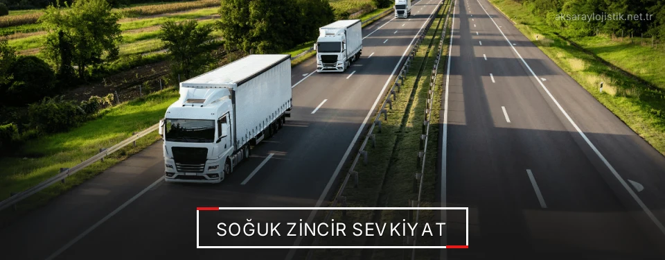 Aksaray Frigo Taşımacılık Firmaları