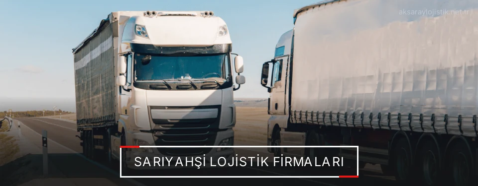 Sarıyahşi Lojistik Taşımacılık